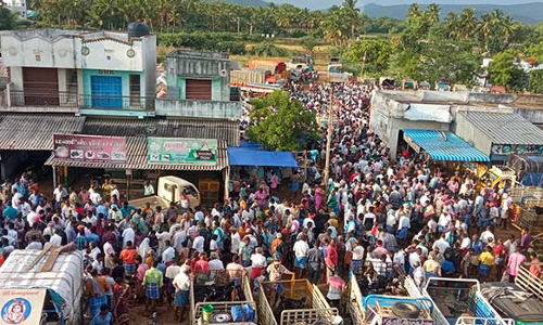 ஆடி அமாவாசையை முன்னிட்டு களைகட்டிய அய்யலூர் ஆட்டுச்சந்தை