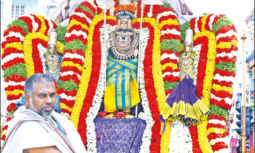 வள்ளி, தெய்வானை, சுப்பிரமணியசாமிக்கு வசந்த உற்சவம்: சப்பரத்தில் வீதிஉலா