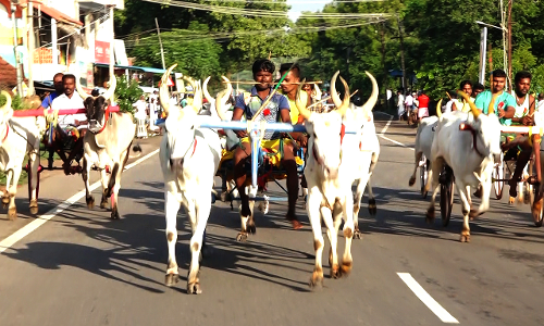 ஆடிக்களரி திருவிழாவை முன்னிட்டு  இரட்டை மாட்டுவண்டி பந்தயம்