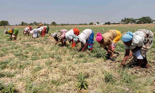 விவசாயிகள் குறைதீா்க்கும் கூட்டம் 30-ந்தேதி நடக்கிறது