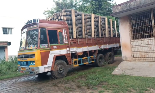 30 பனை மரங்களை வெட்டி கடத்திய லாரி பறிமுதல்