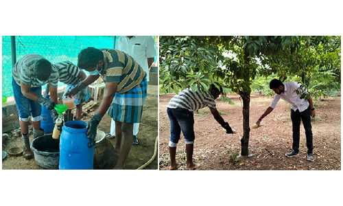 இறந்த கோழிகளை என்ன செய்வது?   மாத்தி யோசித்த தருமபுரி விவசாயியால்  வளம் செழிக்கும் விவசாயம்