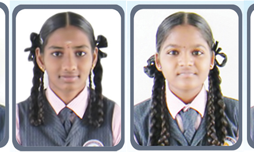 எஸ்.எஸ்.எல்.சி., பிளஸ் 2 தேர்வில் சுவாமி விவேகானந்தா ெமட்ரிக் பள்ளி மாணவர்கள் சாதனை