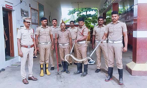 போடி அருகே வீட்டுக்குள் புகுந்த கண்ணாடி விரியன் பாம்பு