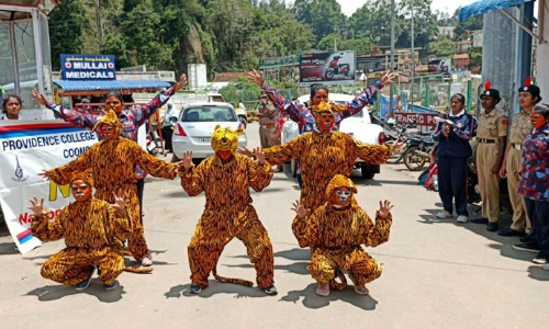 உலக புலிகள் தினம்- குன்னூரில் புலி வேடம் அணிந்து விழிப்புணர்வு ஏற்படுத்திய மாணவிகள்