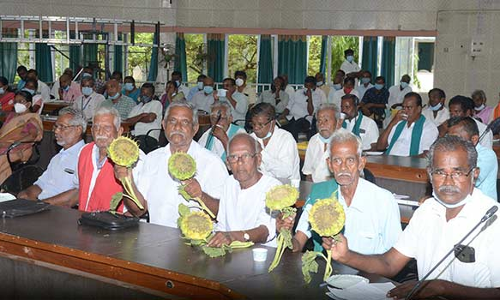 தரமற்ற விதைகளால் விளைச்சல் பாதிப்பு காய்ந்த சூரியகாந்தியுடன் விவசாயிகள் கலெக்டரிடம் புகார்