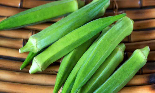 வெண்டைக்காய் சாகுபடியில் விவசாயிகள் ஆர்வம்