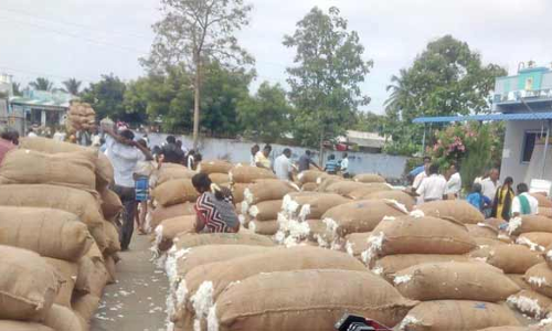 ரூ.17.21 லட்சத்திற்கு பருத்தி ஏலம்