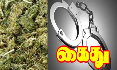 கஞ்சா விற்ற வாலிபர் கைது