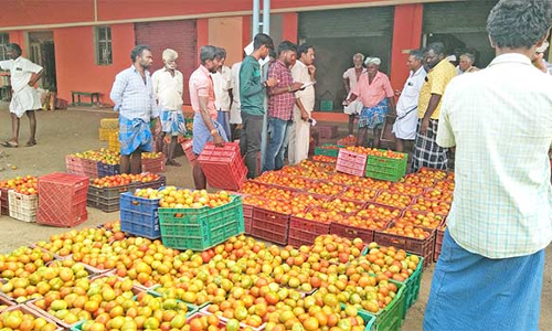 அய்யலூர் சந்தையில்  தக்காளி விலை சரிவால் விவசாயிகள் கவலை