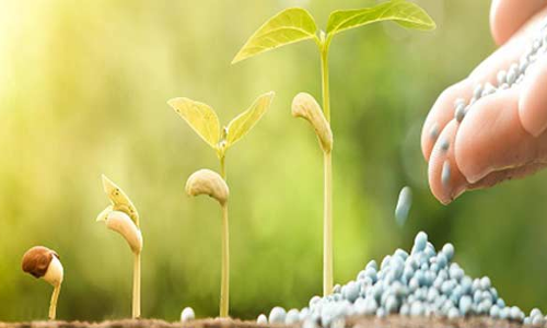 கூடுதல் விலைக்கு உரங்கள் விற்றால் நடவடிக்கை விவசாயிகள் கூட்டத்தில் கலெக்டர் எச்சரிக்கை