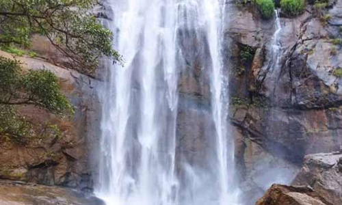கொல்லிமலை ஆகாய கங்கை நீர்வீழ்ச்சிக்கு செல்ல தடை