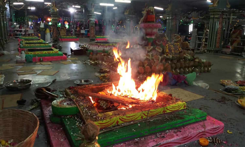 உலக நன்மைக்காக மங்கள மகா நவசண்டி யாகம்