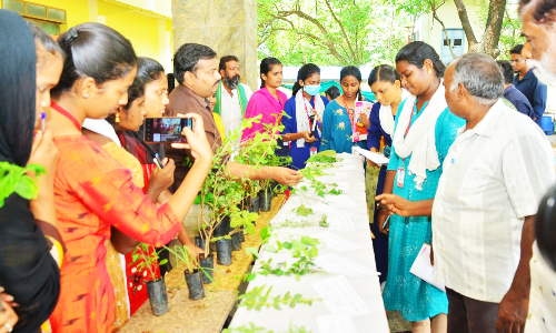 வீடுகளில் மூலிகை செடிகள் வளர்க்க வேண்டும்
