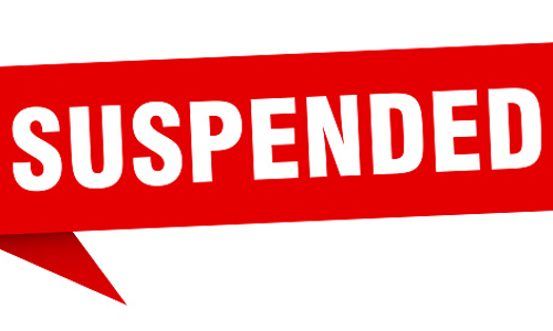 திட்டக்குடி அருகே மின் கட்டணத்தை கையாடல் செய்த கணக்கீட்டாளர்  சஸ்பெண்டு