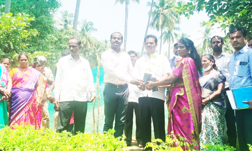அம்பலூர் ஊராட்சியில் முருங்கை செடிகள் விநியோகம்
