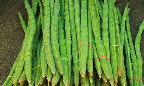 வரத்து குறைவால் முருங்கை விலை உயர்வு