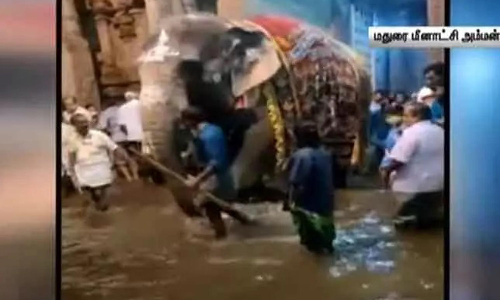 மதுரையில் வெளுத்து வாங்கிய கனமழை - மீனாட்சியம்மன் கோவில் வளாகத்திற்குள் புகுந்த மழைநீர்