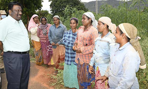 சின்னமனூர் பகுதியில் வேளாண் பணியில் ஈடுபட்ட பெண் தொழிலாளர்களிடம் குறை கேட்ட கலெக்டர்