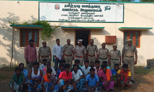 பெரம்பலூர் அருகே வேட்டை கும்பலை விரட்டி பிடித்த வனத்துறை