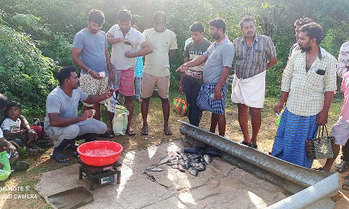 மீன்கள் அதிக விலைக்கு விற்பனை செய்வதாக பொதுமக்கள் புகார்