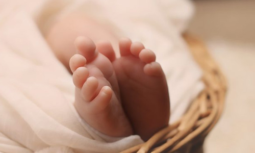 திருத்தணி அருகே பையில் சுற்றி வீசப்பட்ட பச்சிளம் குழந்தை உடல்- போலீசார் விசாரணை