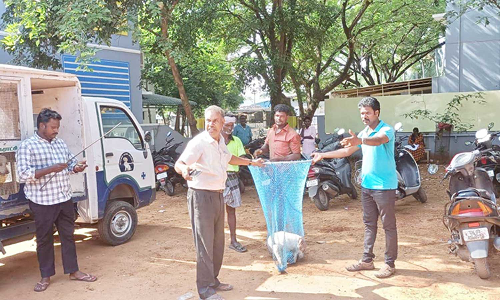 சாலைகளில் சுற்றி திரிந்த நாய்கள் பிடிக்கப்பட்டன