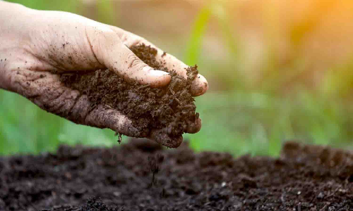 களைக்கொல்லி மருந்தால் பாதித்த நிலங்களில் மண் பரிசோதனை