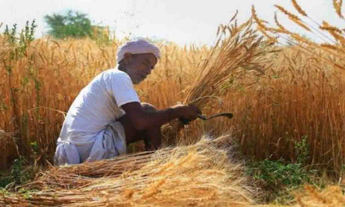 பயிர்க்கடன் பெறுவதில் புதிய கட்டுப்பாடுகள் - விவசாயிகள் அதிர்ச்சி
