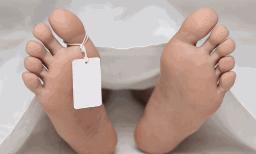 வாகனத்திலிருந்து தவறி விழுந்தவர் சாவு