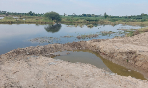 தியாகதுருகம் அருகே  பெரிய ஏரியில்  தண்ணீரை வெளியேற்றி மீன் பிடிக்கும் கும்பல்
