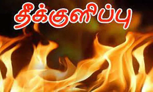 பேச்சிப்பாறை அருகே கல்லூரி மாணவி தீக்குளித்து சாவு - மேல்படிப்புக்கு பெற்றோர் அனுமதிக்காததால் விபரீத முடிவு