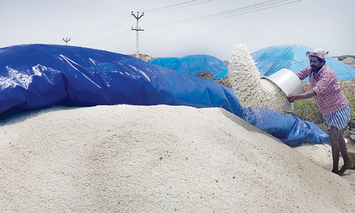 மழையால் உப்பு உற்பத்தி பாதிப்பு