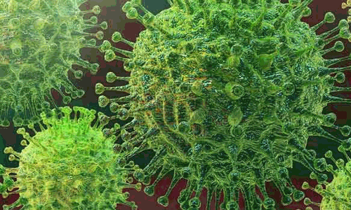 கொரோனாவுக்கு முதியவர் பலி