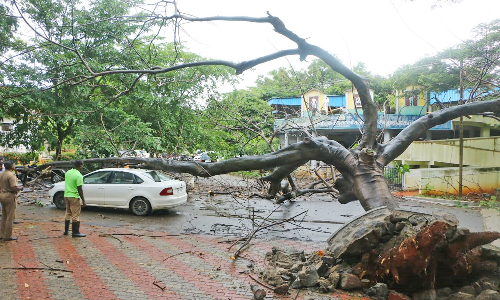 கனமழை காரணமாக ரெட்அலர்ட் எச்சரிக்கை - தேசிய பேரிடர் மீட்பு குழு வீரர்கள் 40 பேர் நாகர்கோவில் வந்தனர்