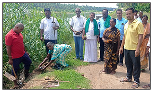 மண் அரிப்பை தடுக்கும் விதமாக   10 ஆயிரம் பனை விதை நடவு