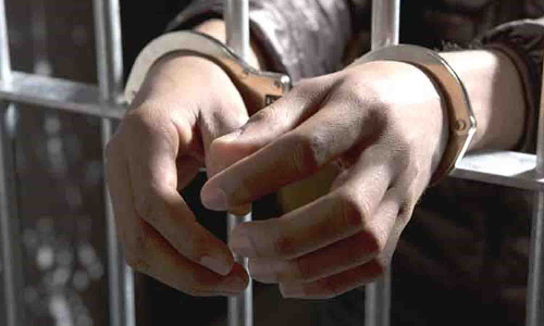 வெள்ளகோவிலில் பல்வேறு இடங்களில் தொடர் திருட்டில் ஈடுபட்டு 2 பேர் கைது