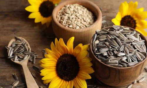 வெள்ளகோவிலில் ஆடி பண்டிகையொட்டி ஒழுங்குமுறை விற்பனை கூடம் ஏலம் ஒத்திவைப்பு