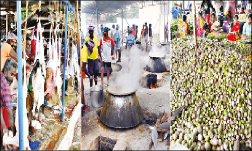 புனித செபஸ்தியார் ஆலய திருவிழா: 1,500 ஆடுகள்-2 ஆயிரம் கோழிகள் நேர்த்திக்கடன்