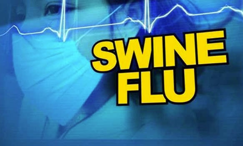 கேரளாவில் ஆப்பிரிக்கன் பன்றிகாய்ச்சல் எதிரொலி: கோவையில் 19 பன்றி பண்ணைகளில் அதிரடி ஆய்வு