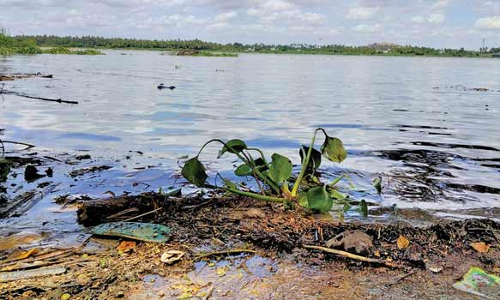 ஆடி 18 பண்டிகை காவிரி ஆற்றுக்கு செல்ல தடை விதித்ததால் பக்தர்கள் ஏமாற்றம்
