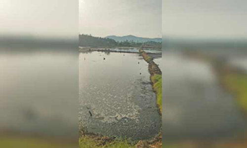 ராசிபுரம் அருகே தனியார் தொழிற்சாலையில் விஷவாயு கசியும் அபாயம்