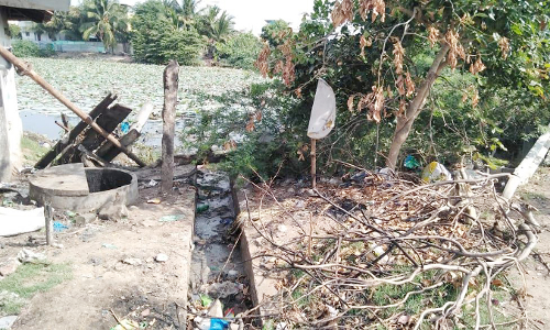 தொண்டியில் கழிவுநீராக மாறிவரும் குளம்