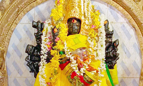 காளியம்மன் கோவிலில் சிறப்பு பூஜை