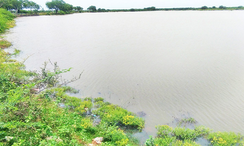 புதிய கட்டளை மேட்டு கால்வாய் திறக்க விவசாயிகள் வலியுறுத்தல்