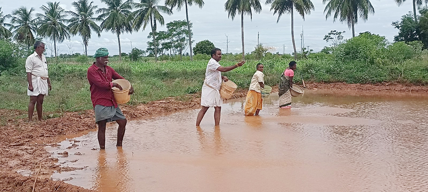 பாரம்பரியமிக்க நெல் விதைத்த விவசாயிகள்