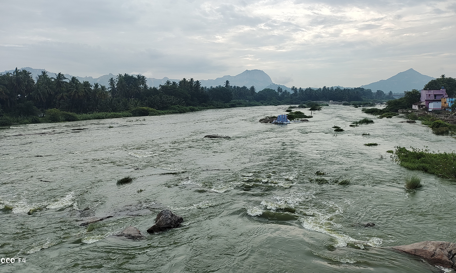 கே.ஆர்.பி அணையில் இருந்து தண்ணீர் திறப்பு:  தென்பெண்ணை ஆற்றில் வெள்ளம்