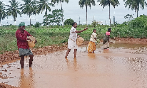 பாரம்பரியமிக்க நெல் விதைத்த விவசாயிகள்