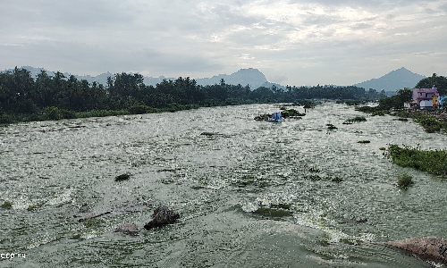 கே.ஆர்.பி அணையில் இருந்து தண்ணீர் திறப்பு:  தென்பெண்ணை ஆற்றில் வெள்ளம்