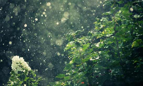 கெங்கவல்லியில் கன மழை